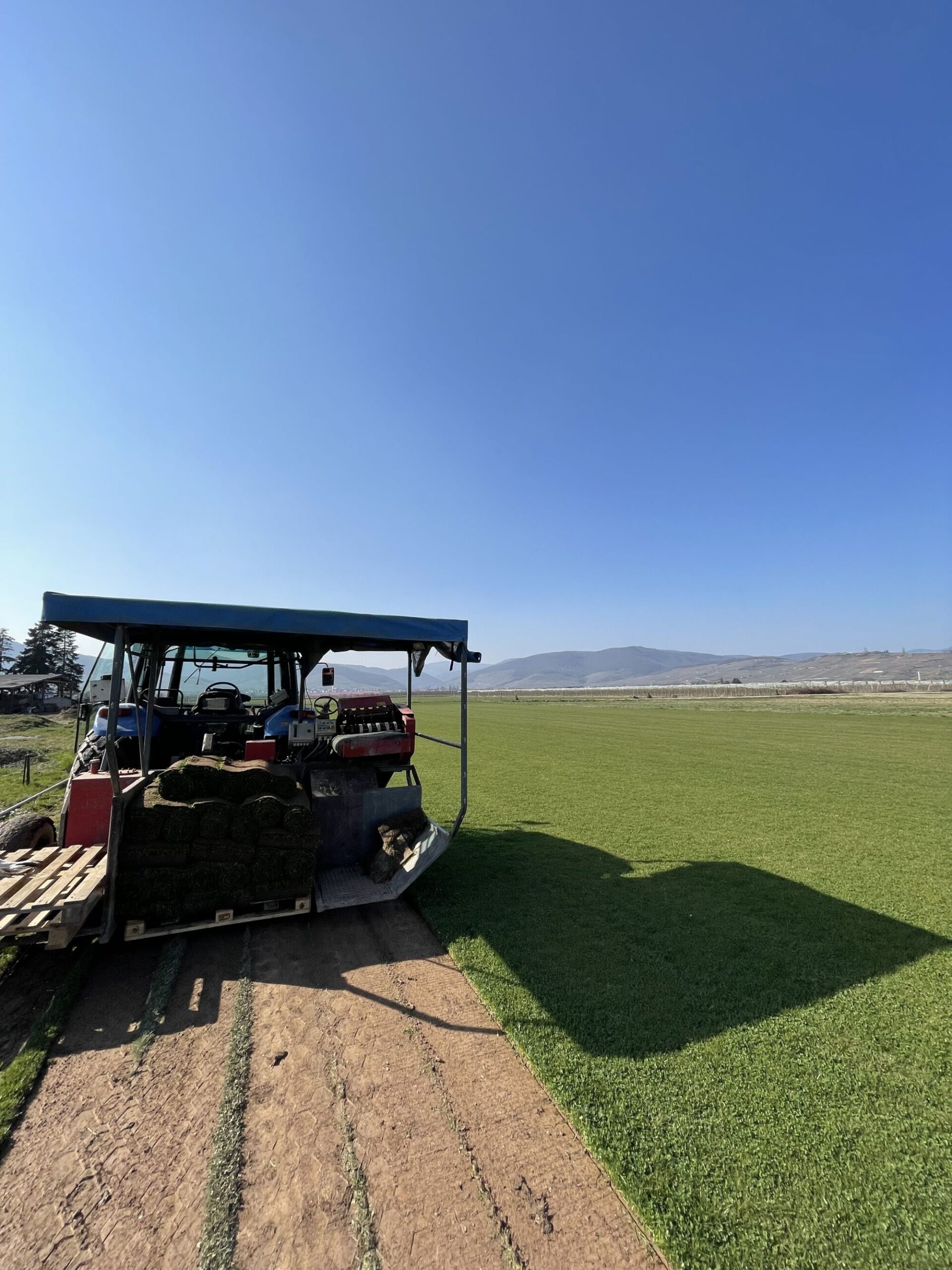 5 astuces pour une coupe parfaite de votre gazon de placage Colmar