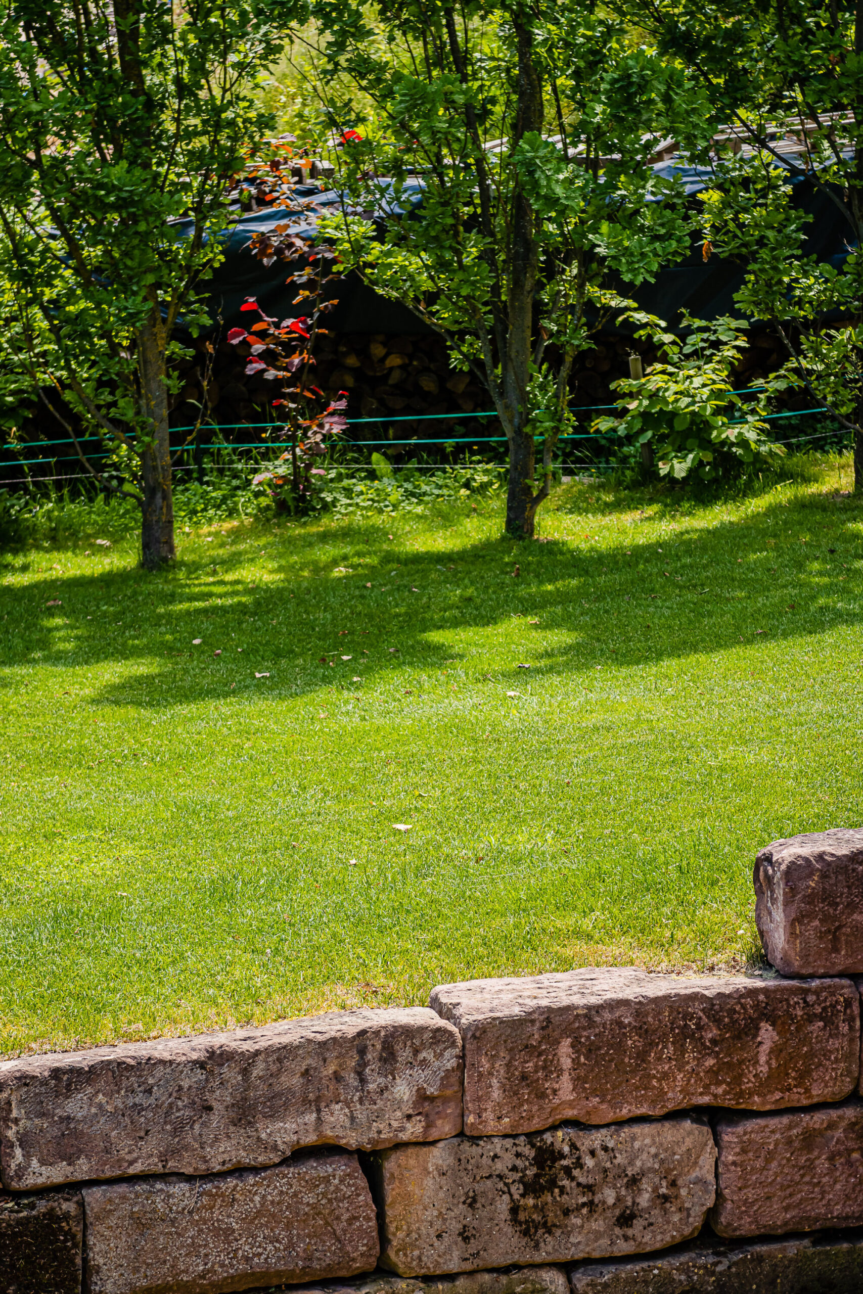 BOHRER PAYSAGES24 SCALED | Sprint Gazon Comment entretenir une pelouse en micro-trèfle ? Cernay