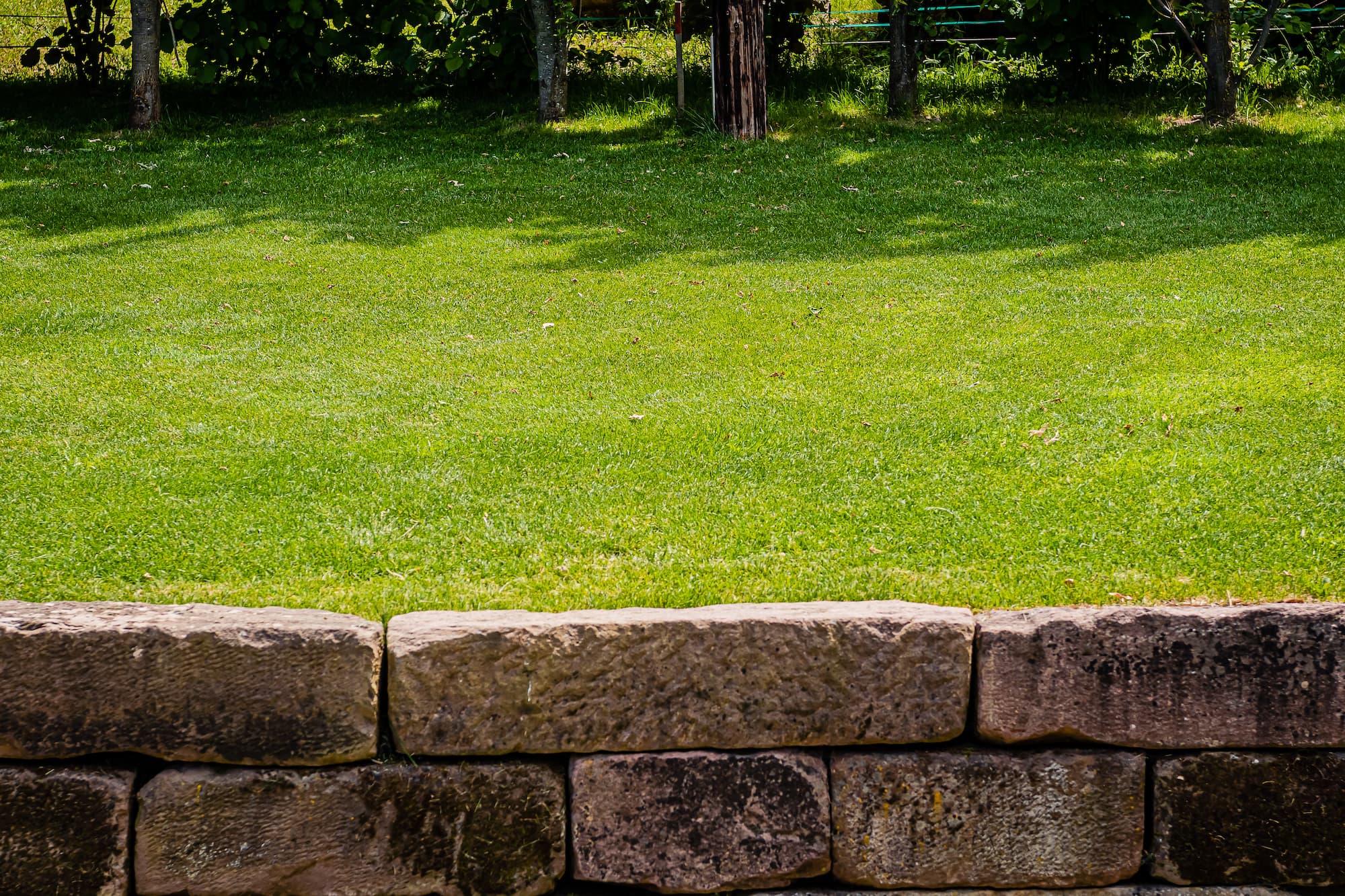 PRODUCTEUR_FOURNISSEUR_GAZON_PLACADE | Sprint Gazon Producteur et fournisseur de gazon de placage pour particuliers et professionnels vers Saint-Louis et Colmar Illzach 1