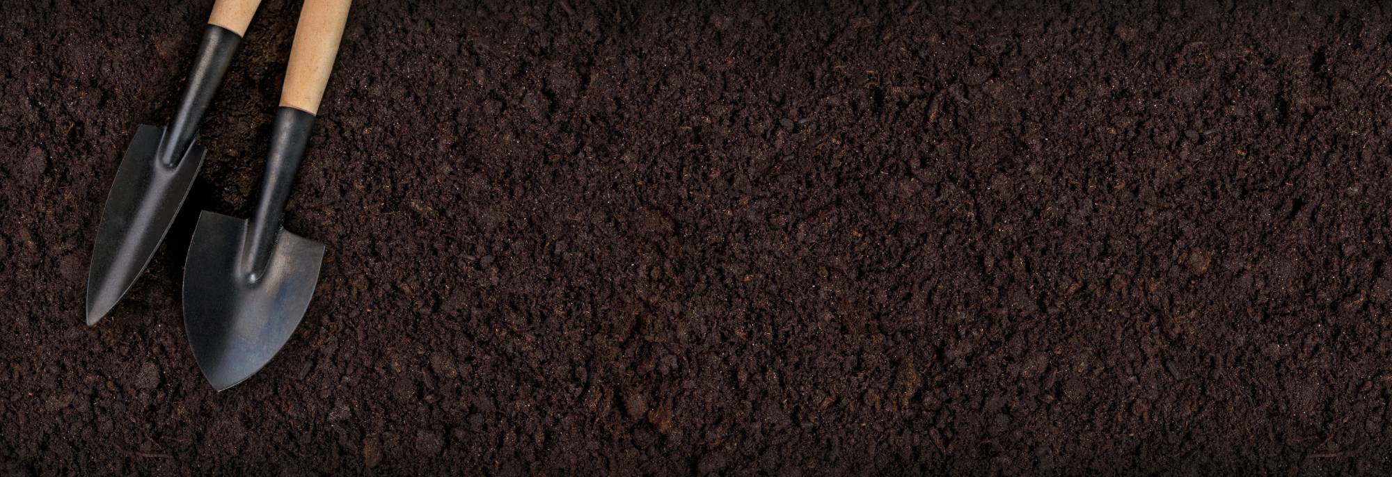 TERRE_JARDIN | Sprint Gazon Comment préparer la terre pour une pose de gazon de placage ? Erstein